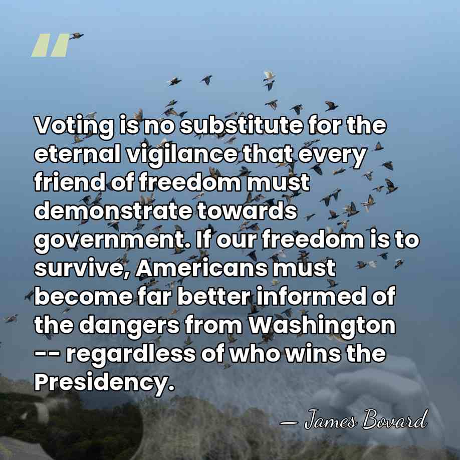 Voting is no substitute for the eternal vigilance that every friend of&hellip; - James Bovard