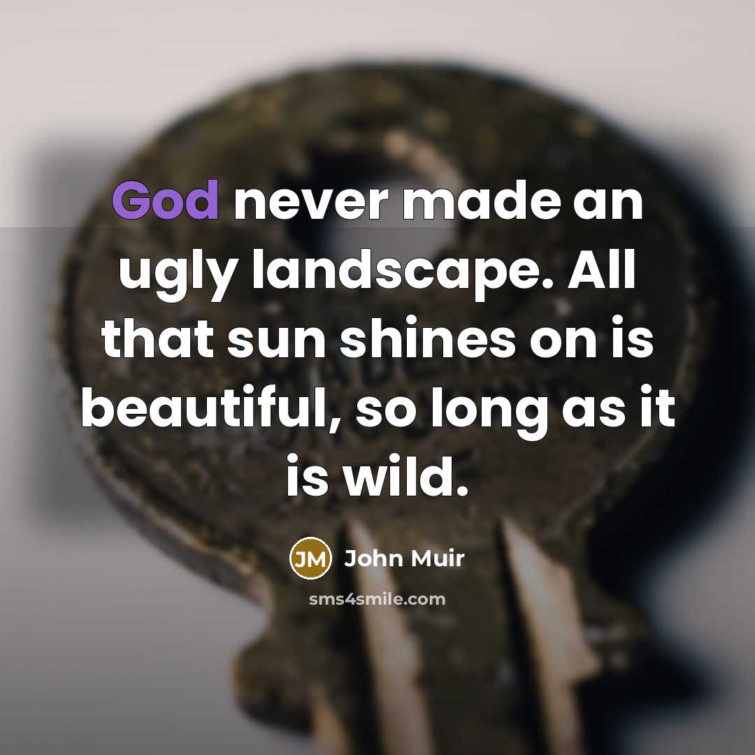 “God never made an ugly landscape. All that sun shines…” quote by John Muir