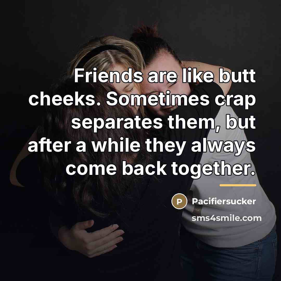 “Friends are like butt cheeks. Sometimes crap separates them, but…” quote by Pacifiersucker
