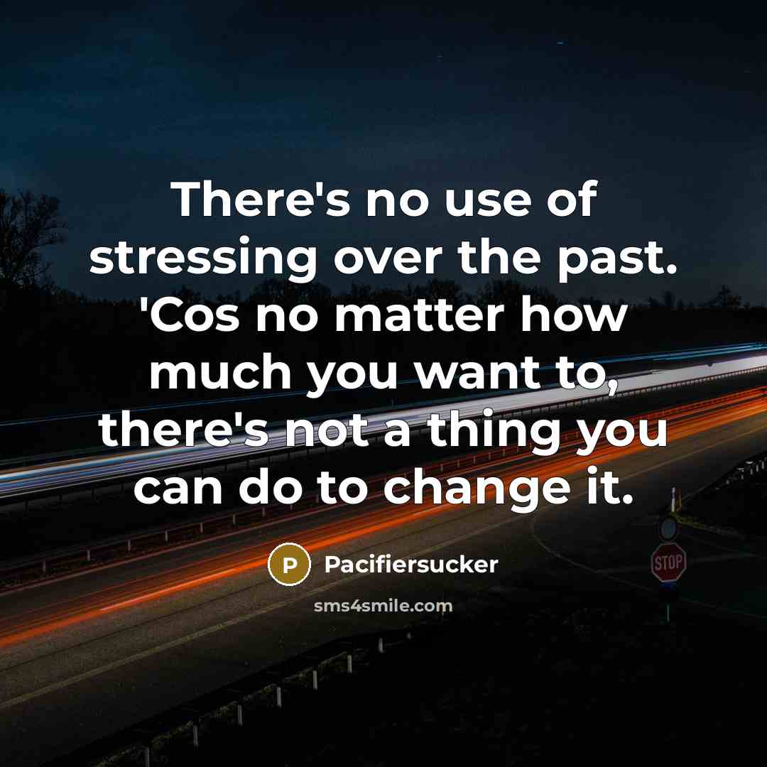 “There's no use of stressing over the past. 'Cos no…” quote by Pacifiersucker