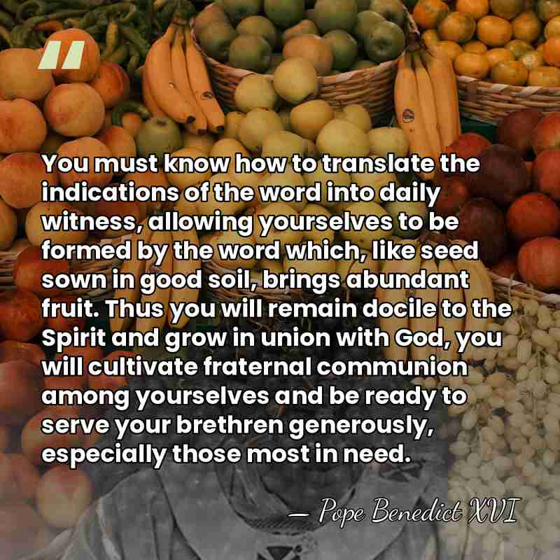 You must know how to translate the indications of the word into&hellip; - Pope Benedict XVI