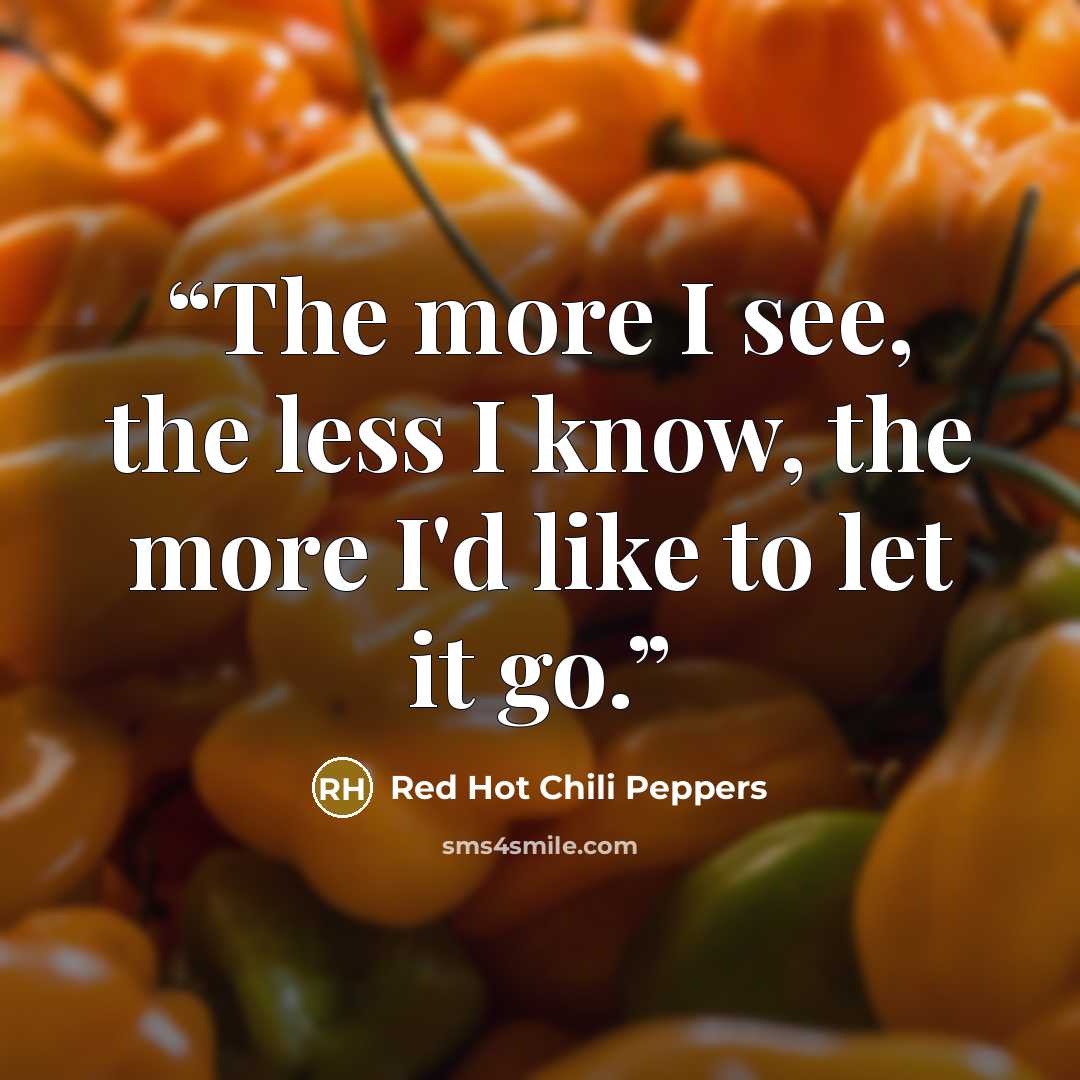 “The more I see, the less I know, the more I'd like to let it go.” quote by Red Hot Chili Peppers