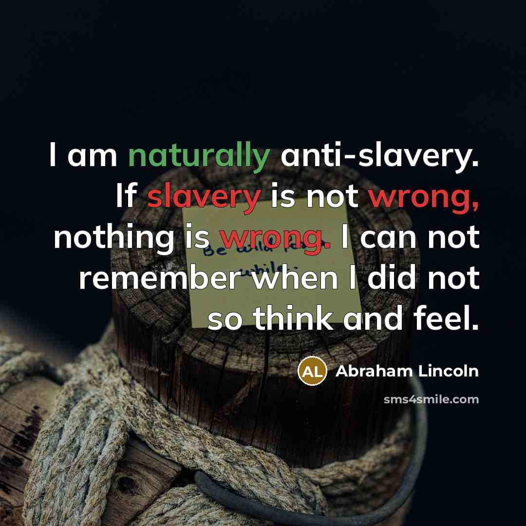 “I am naturally anti-slavery. If slavery is not wrong, nothing is wrong. I can not remember when I did not so think and feel.” quote by Abraham Lincoln