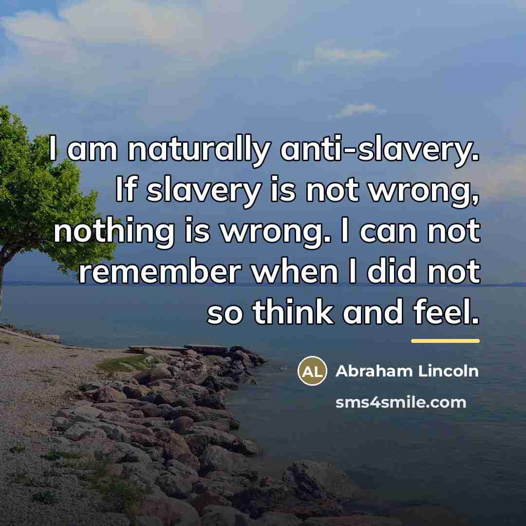 “I am naturally anti-slavery. If slavery is not wrong, nothing…” quote by Abraham Lincoln