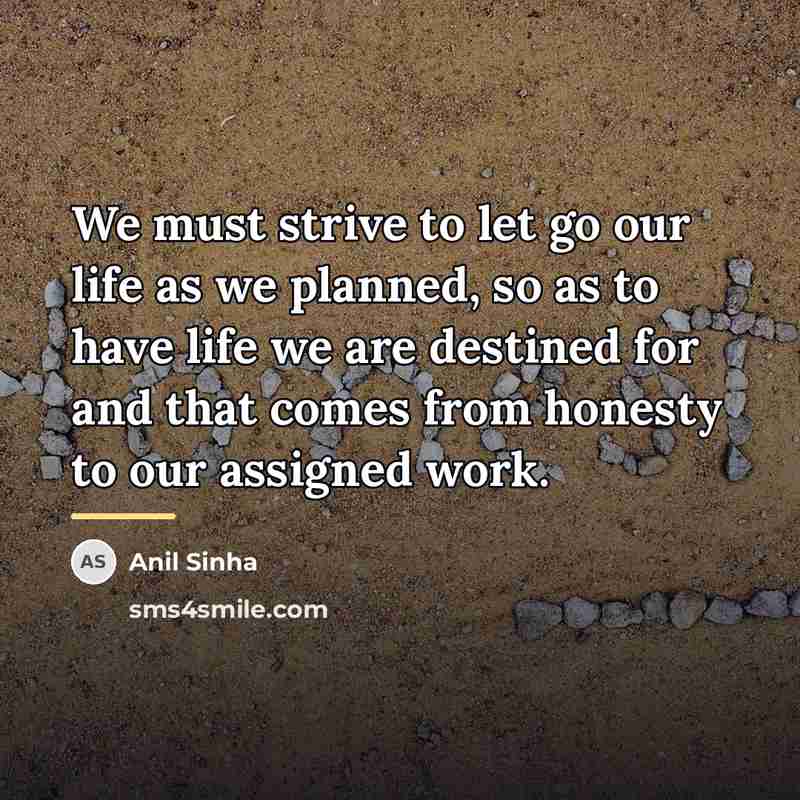 “We must strive to let go our life as we…” quote by Anil Sinha