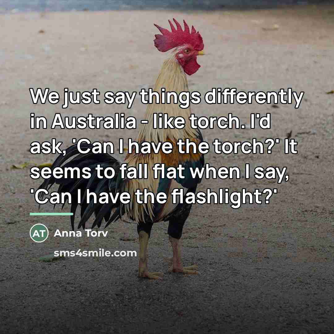 “We just say things differently in Australia - like torch.…” quote by Anna Torv