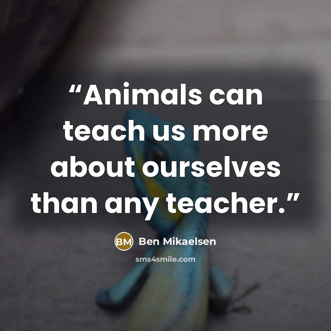 “Animals can teach us more about ourselves than any teacher.” quote by Ben Mikaelsen