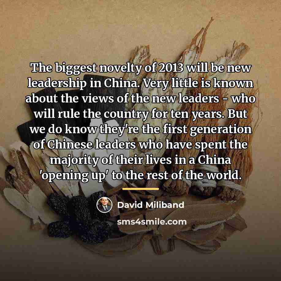 “The biggest novelty of 2013 will be new leadership in…” quote by David Miliband