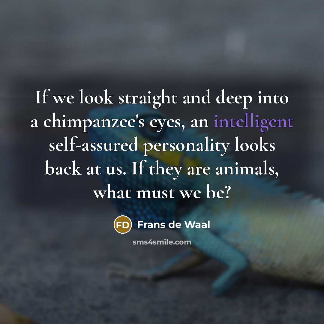 “If we look straight and deep into a chimpanzee's eyes,…” quote by Frans de Waal