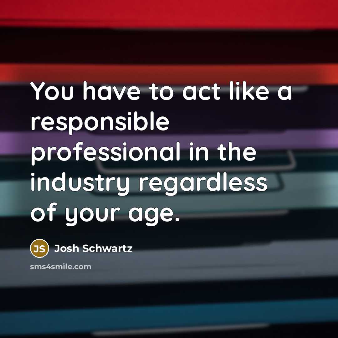 “You have to act like a responsible professional in the…” quote by Josh Schwartz