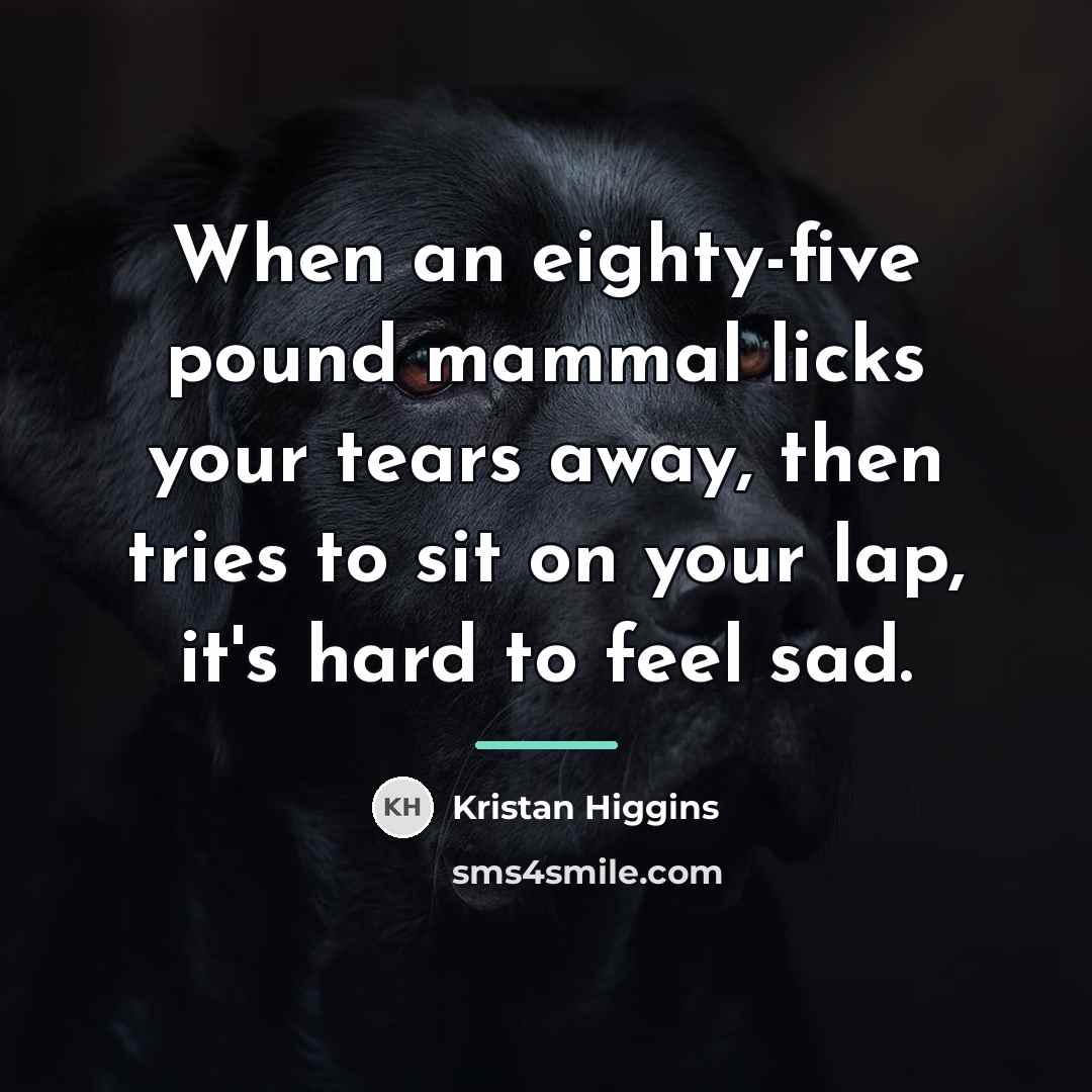 “When an eighty-five pound mammal licks your tears away, then…” quote by Kristan Higgins