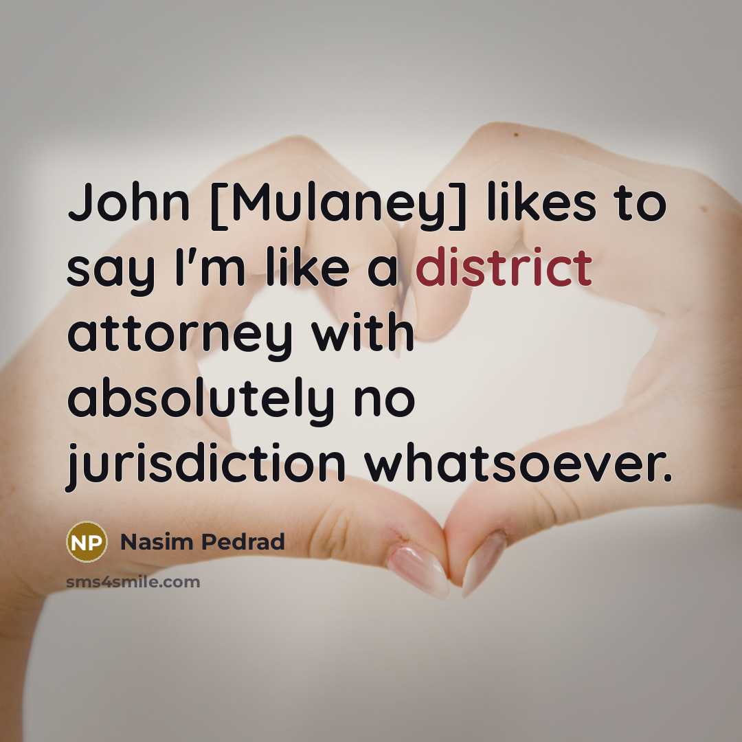 “John [Mulaney] likes to say I'm like a district attorney…” quote by Nasim Pedrad
