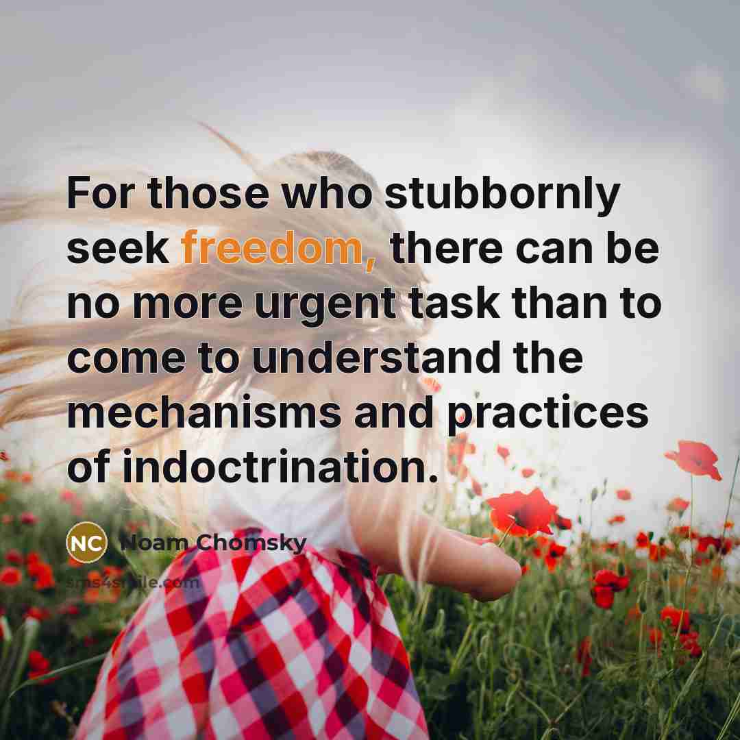 “For those who stubbornly seek freedom, there can be no…” quote by Noam Chomsky