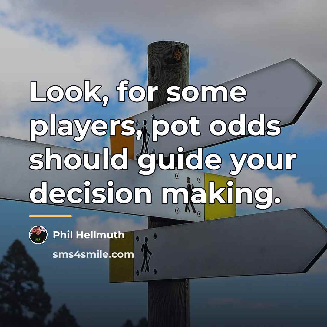 “Look, for some players, pot odds should guide your decision…” quote by Phil Hellmuth