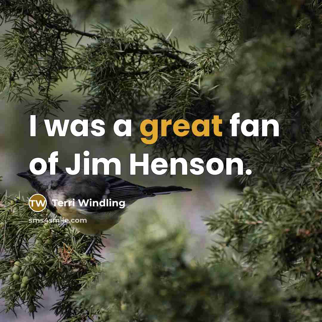 “I was a great fan of Jim Henson.…” quote by Terri Windling