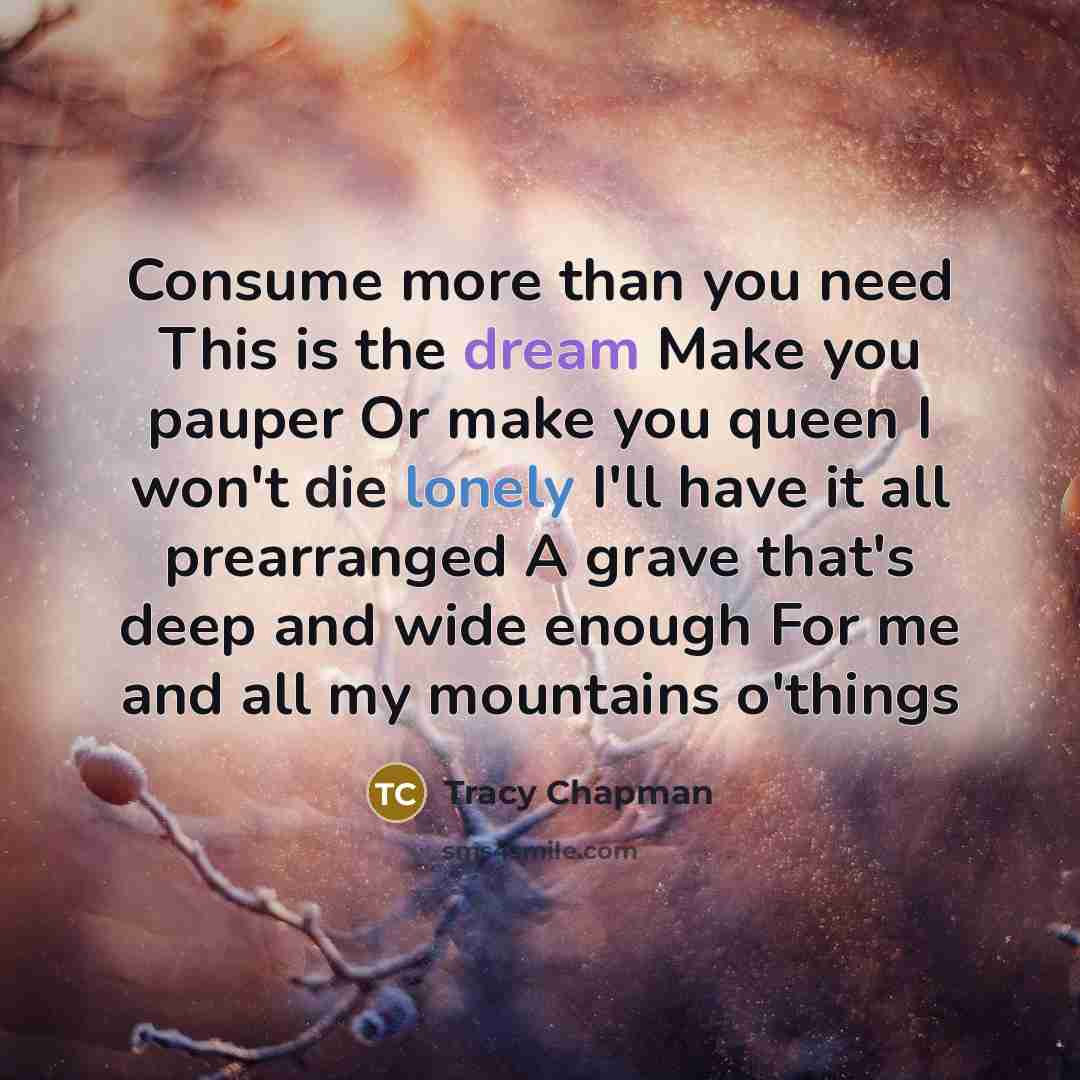 “Consume more than you need This is the dream Make…” quote by Tracy Chapman