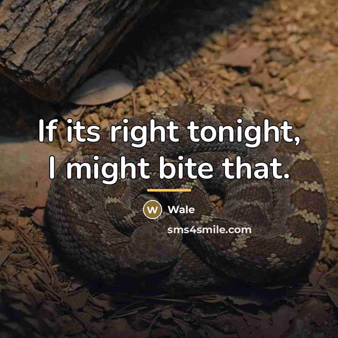 “If its right tonight, I might bite that.…” quote by Wale