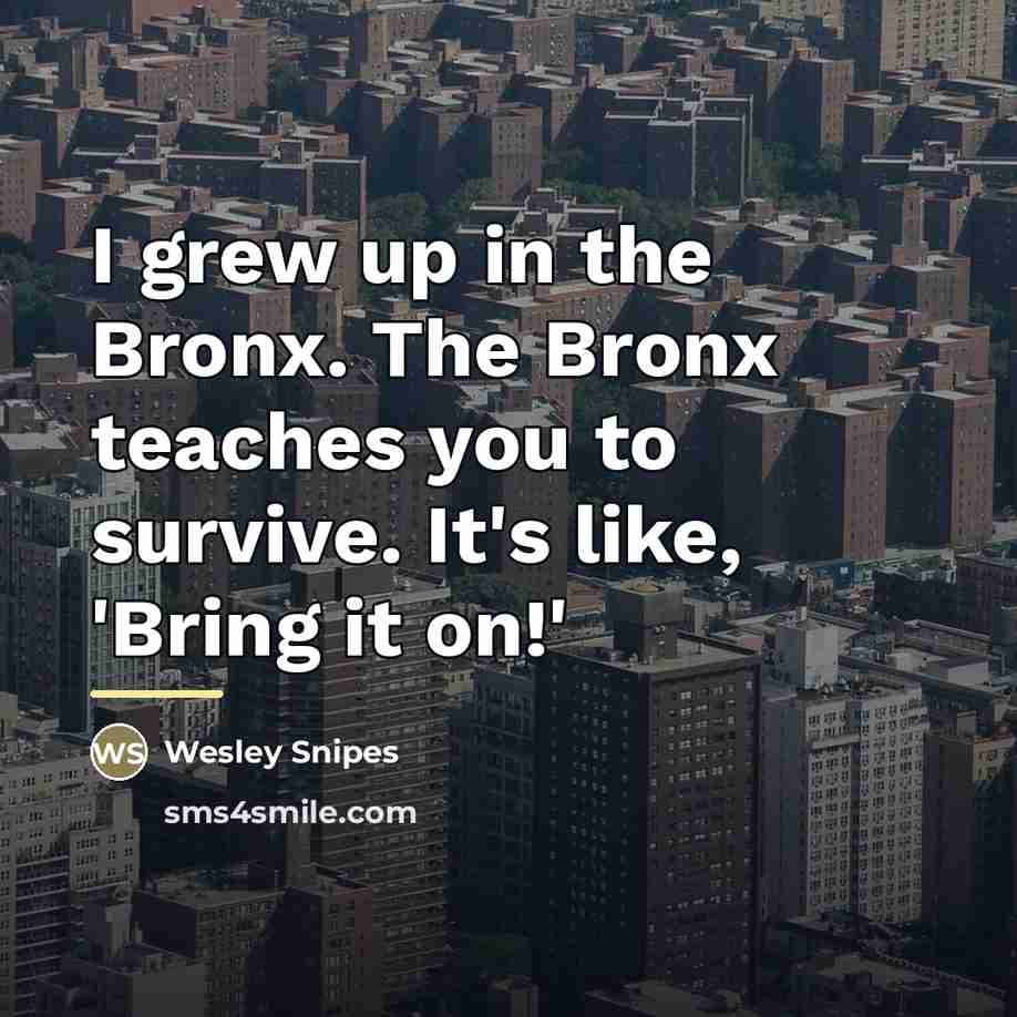 “I grew up in the Bronx. The Bronx teaches you…” quote by Wesley Snipes