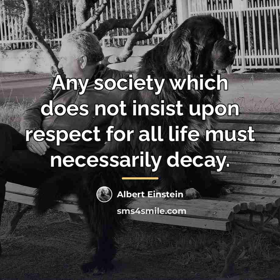 “Any society which does not insist upon respect for all…” quote by Albert Einstein
