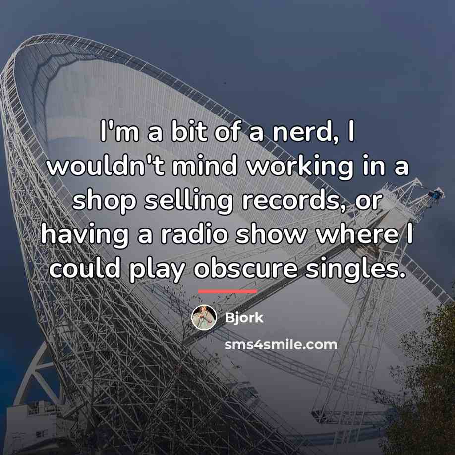 “I'm a bit of a nerd, I wouldn't mind working…” quote by Bjork