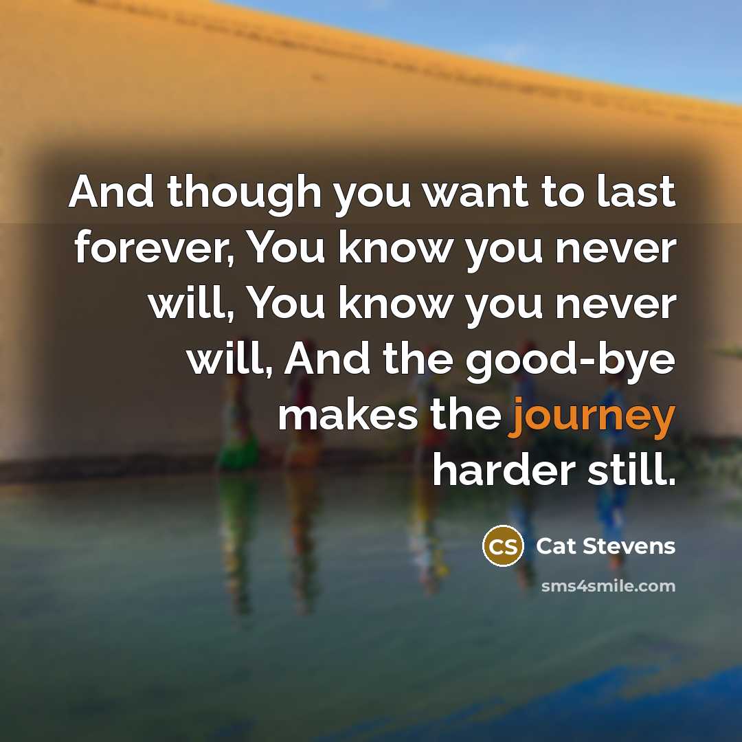 “And though you want to last forever, You know you…” quote by Cat Stevens