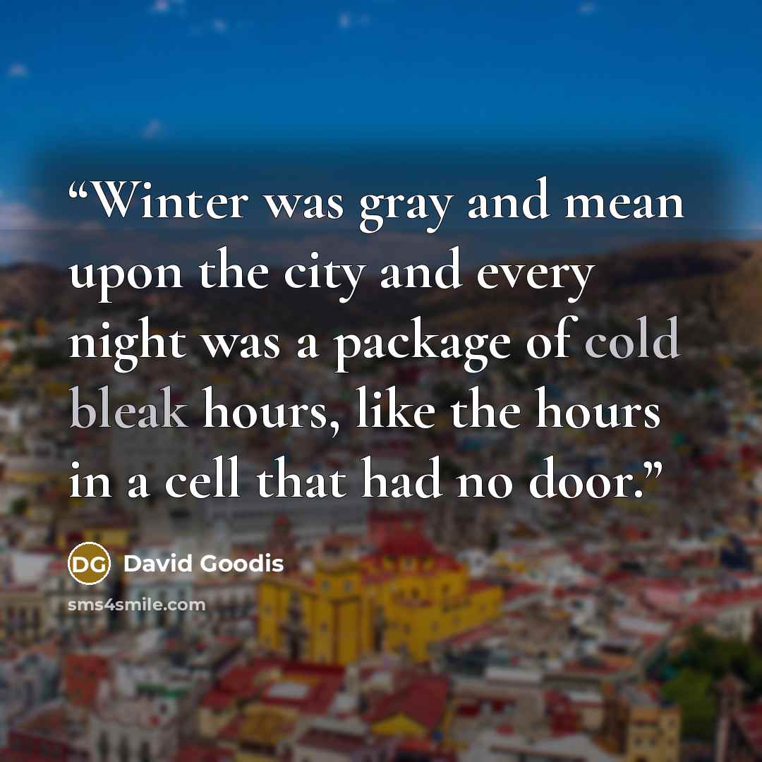 “Winter was gray and mean upon the city and every night was a package of cold bleak hours, like the hours in a cell that had no door.” quote by David Goodis