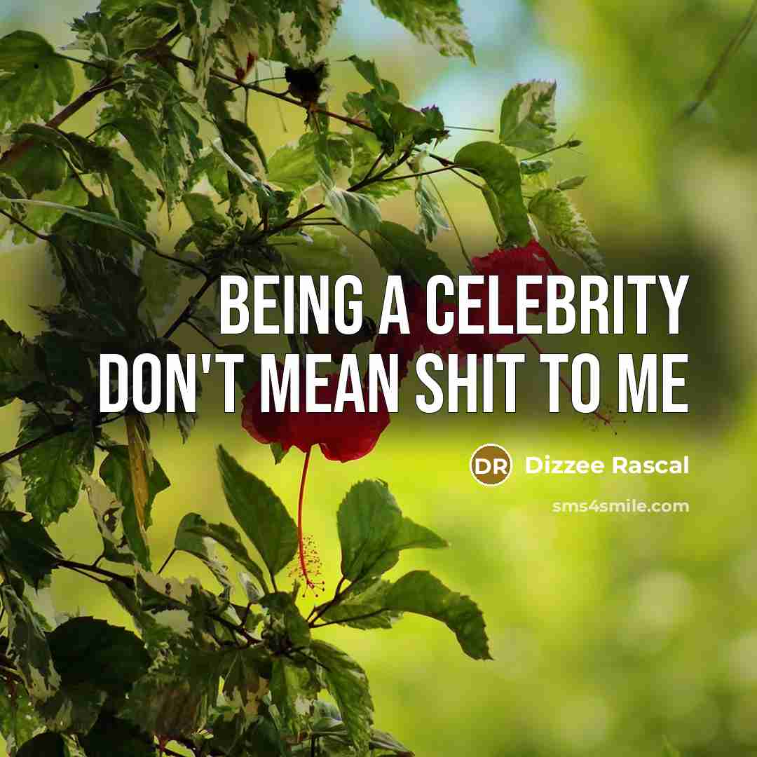 “Being a celebrity don't mean shit to me” quote by Dizzee Rascal