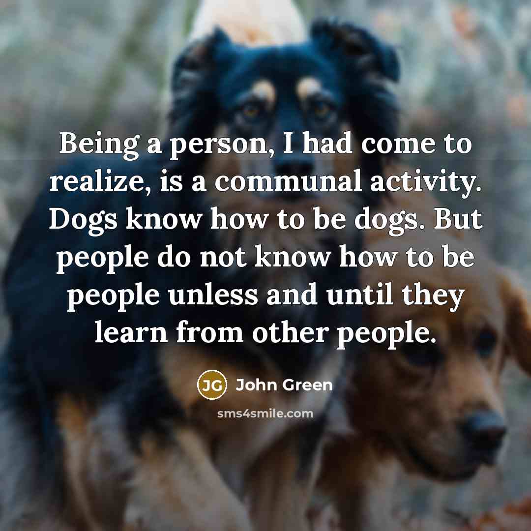 “Being a person, I had come to realize, is a…” quote by John Green