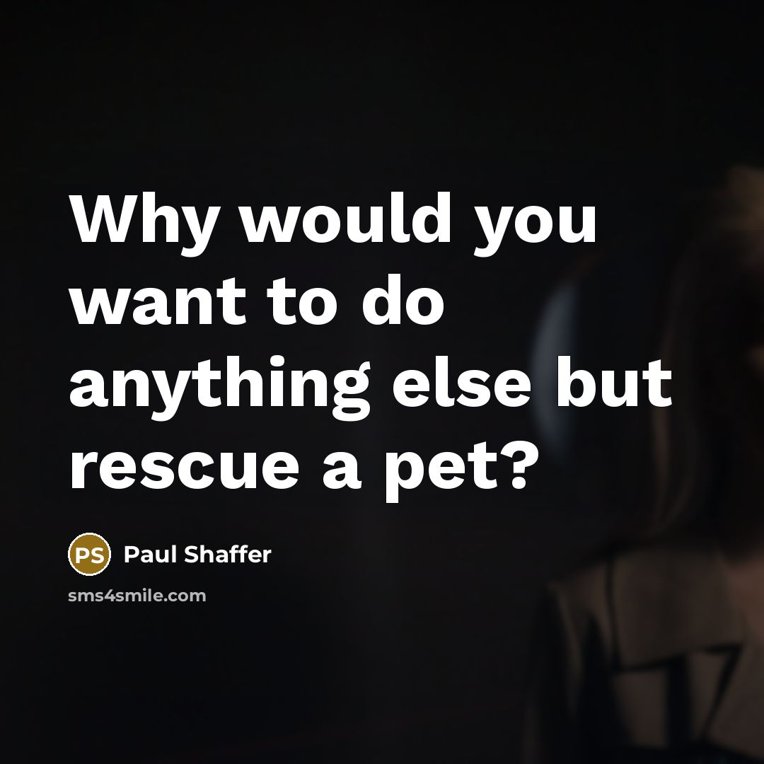 “Why would you want to do anything else but rescue…” quote by Paul Shaffer