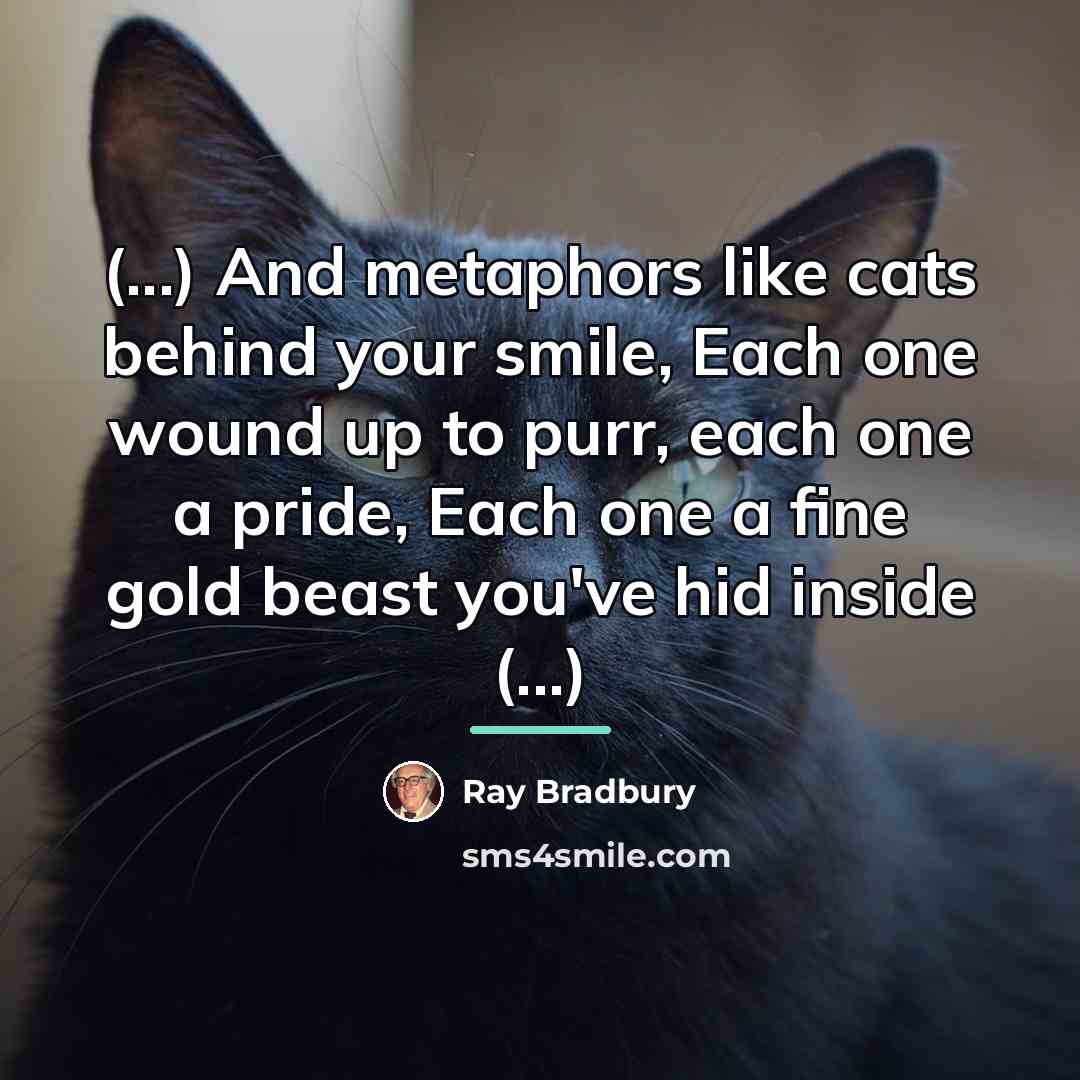 “(...) And metaphors like cats behind your smile, Each one…” quote by Ray Bradbury