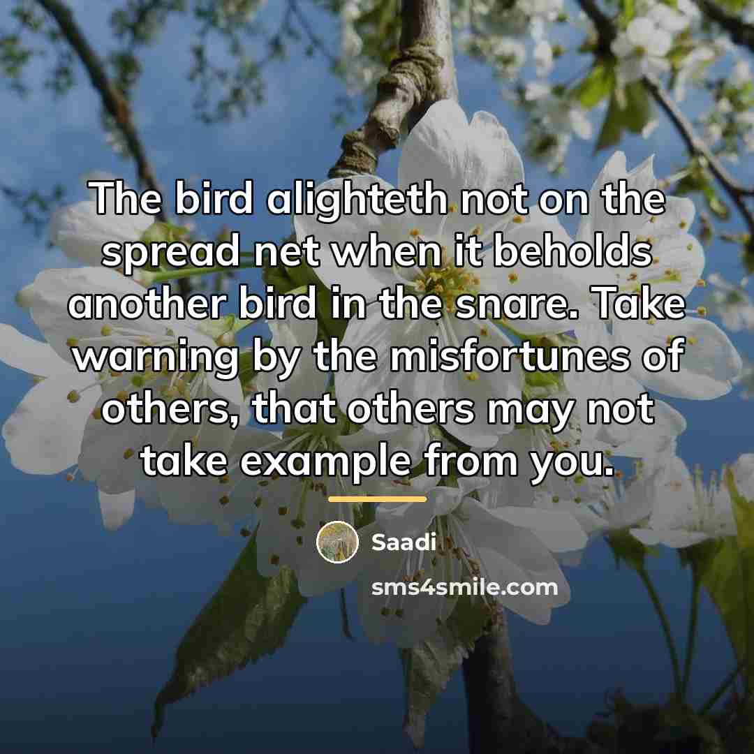 “The bird alighteth not on the spread net when it…” quote by Saadi