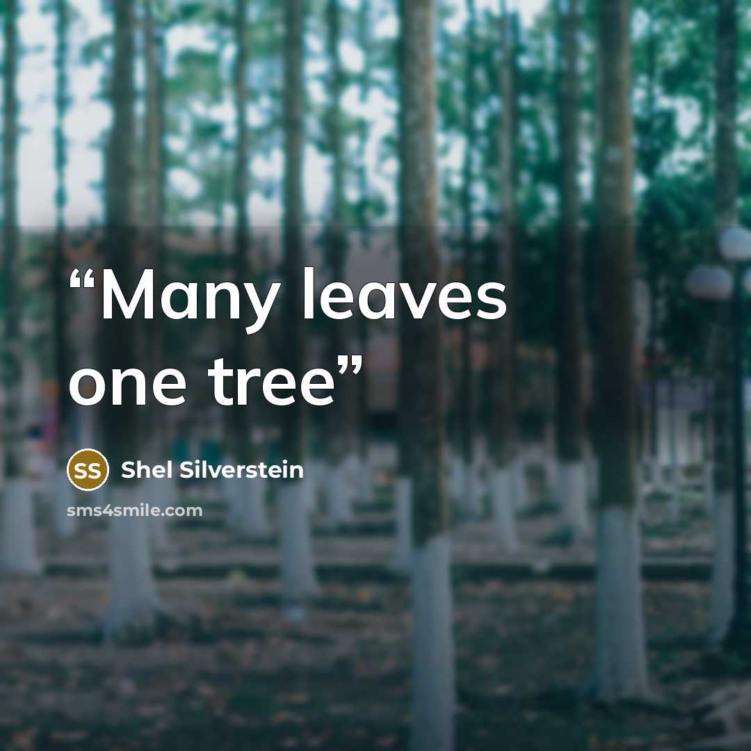“Many leaves one tree” quote by Shel Silverstein