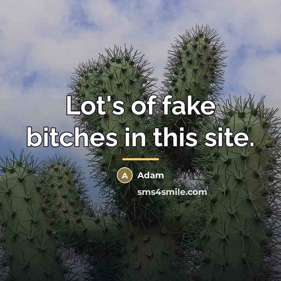 “Lot's of fake bitches in this site.…” quote by ADAM