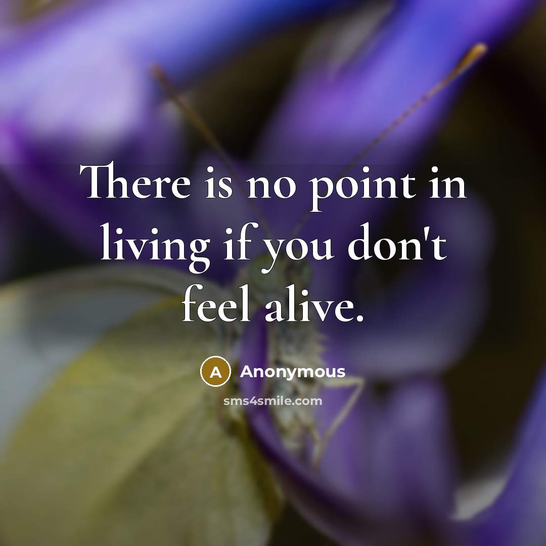 “There is no point in living if you don't feel…” quote by Anonymous