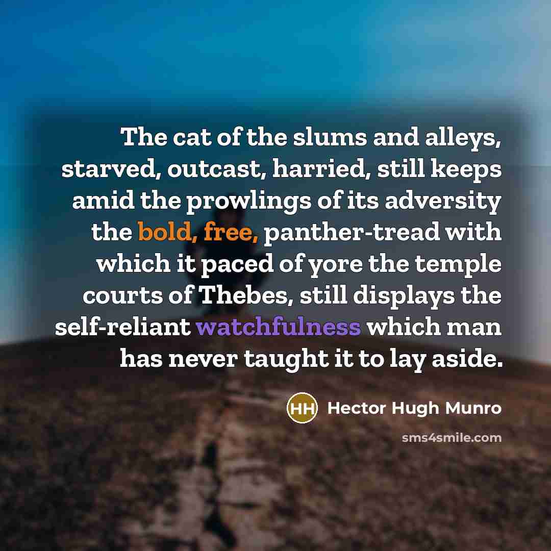 “The cat of the slums and alleys, starved, outcast, harried,…” quote by Hector Hugh Munro