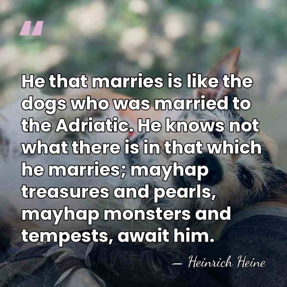 He that marries is like the dogs who was married to the&hellip; - Heinrich Heine