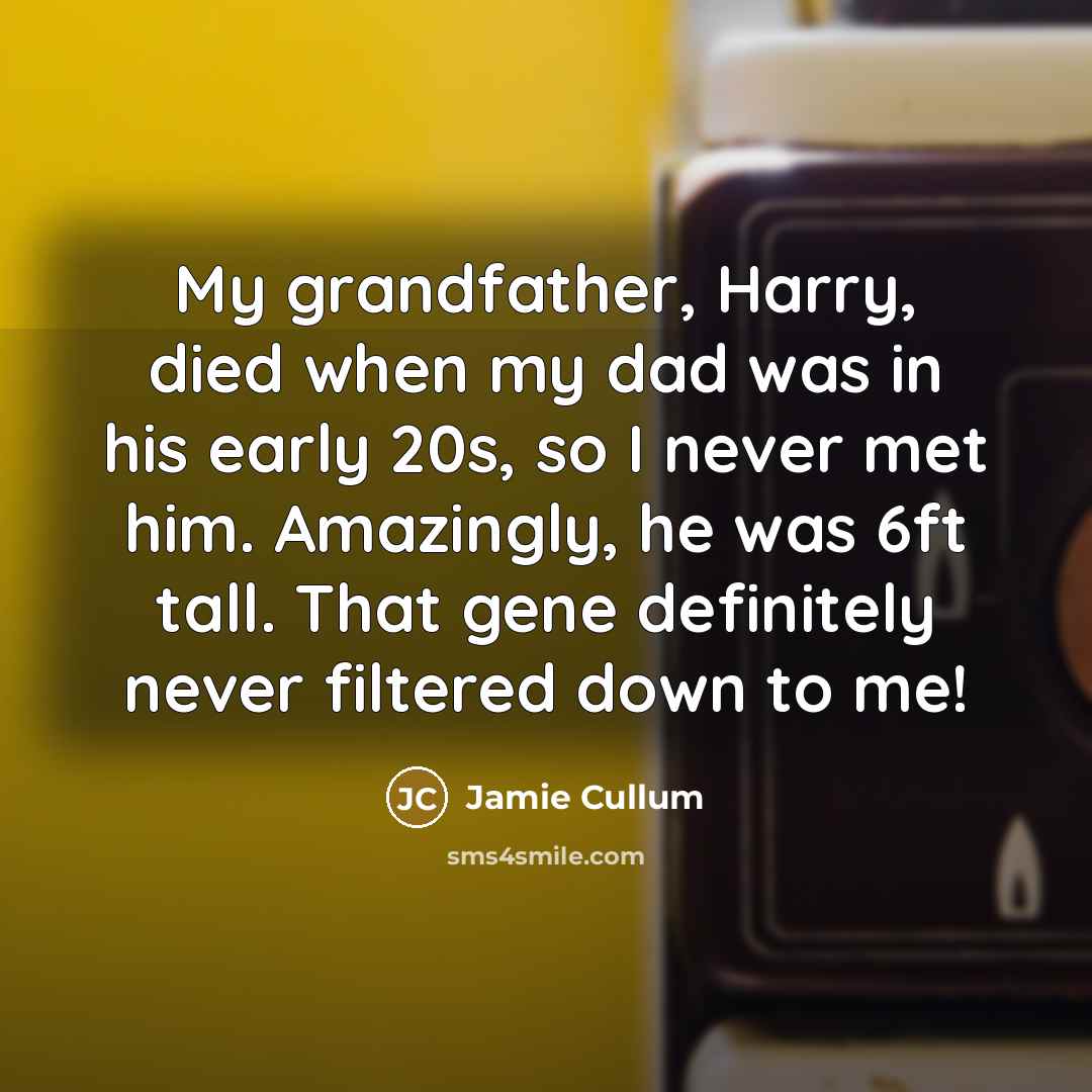“My grandfather, Harry, died when my dad was in his…” quote by Jamie Cullum