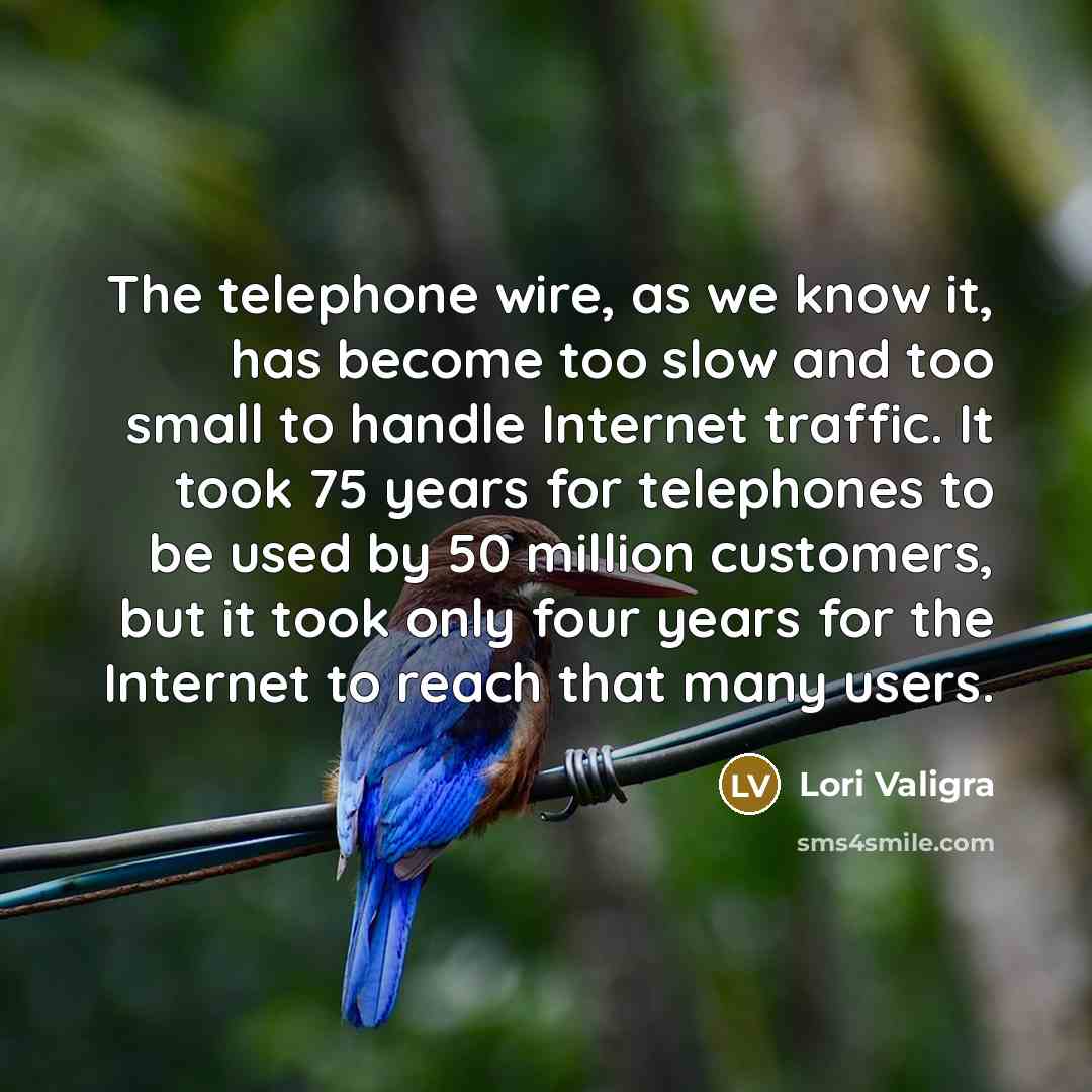 “The telephone wire, as we know it, has become too slow and too small to handle Internet traffic. It took 75 years for telephones to be used by 50 million customers, but it took only four years for the Internet to reach that many users.” quote by Lori Valigra