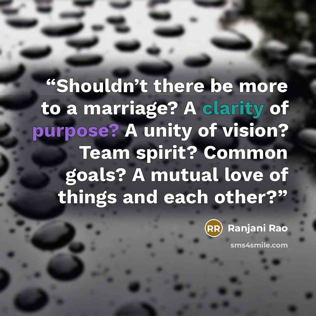 “Shouldn’t there be more to a marriage? A clarity of purpose? A unity of vision? Team spirit? Common goals? A mutual love of things and each other?” quote by Ranjani Rao
