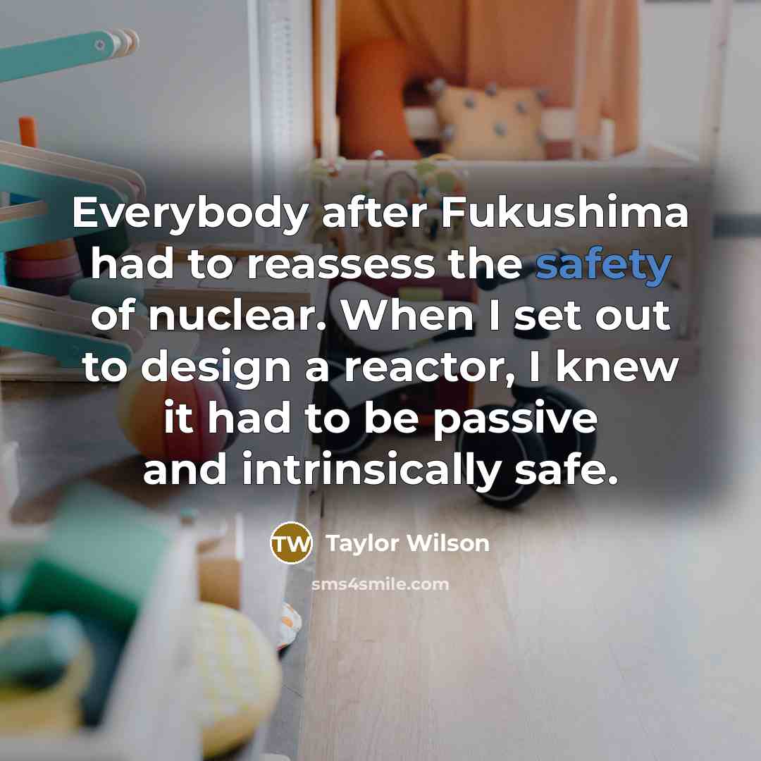 “Everybody after Fukushima had to reassess the safety of nuclear.…” quote by Taylor Wilson