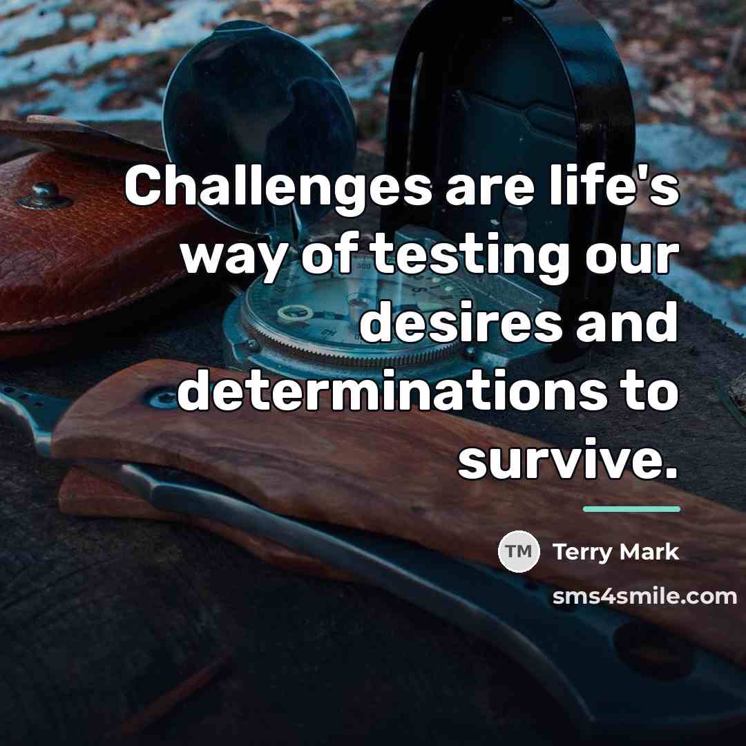 “Challenges are life's way of testing our desires and determinations…” quote by Terry Mark