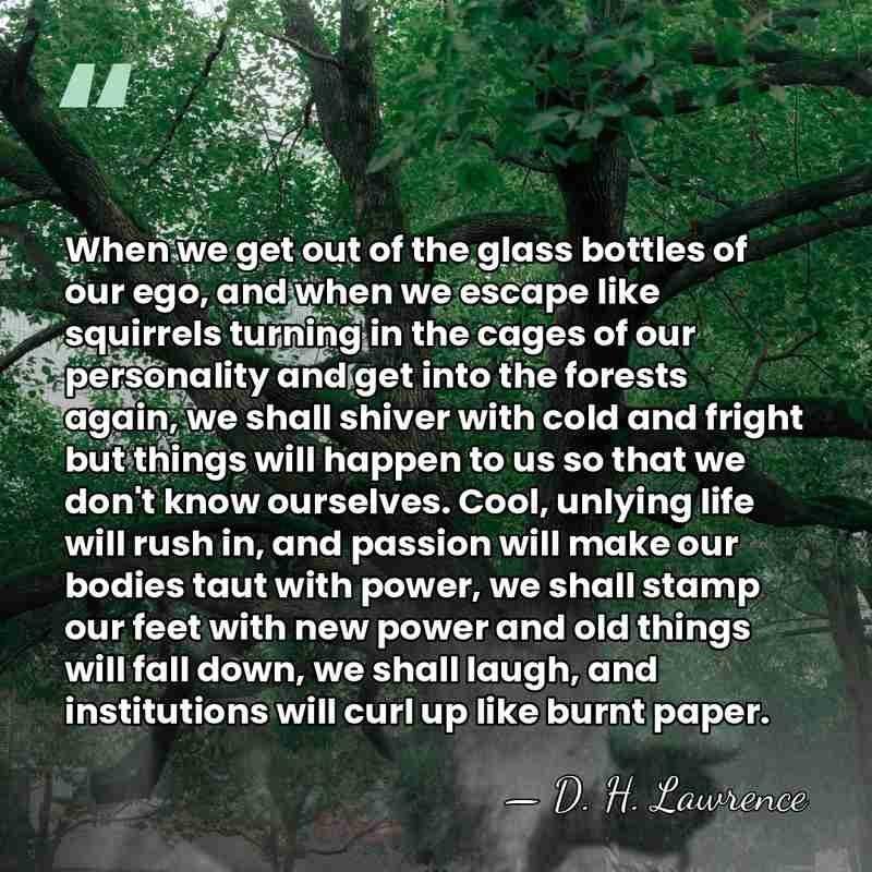 When we get out of the glass bottles of our ego, and&hellip; - D. H. Lawrence