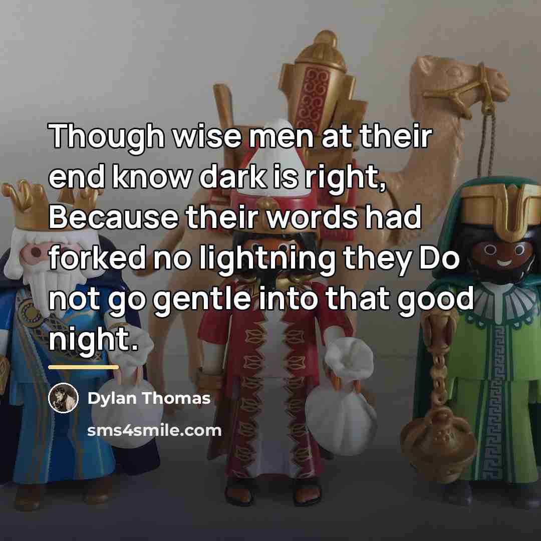 “Though wise men at their end know dark is right,…” quote by Dylan Thomas