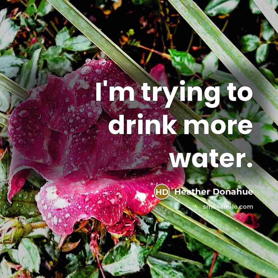 “I'm trying to drink more water.…” quote by Heather Donahue