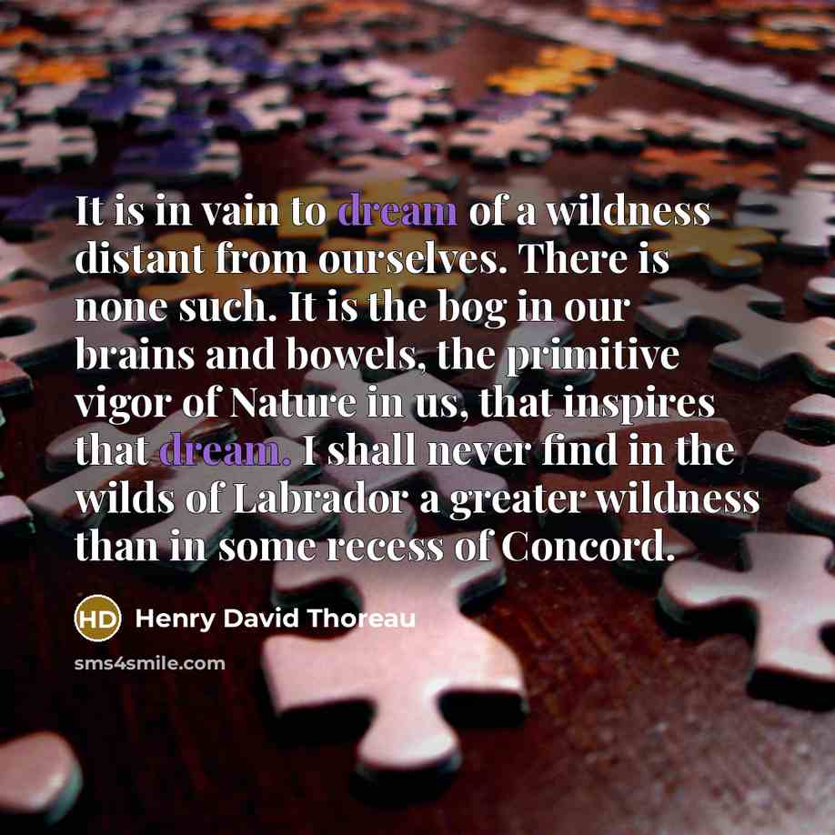 “It is in vain to dream of a wildness distant…” quote by Henry David Thoreau