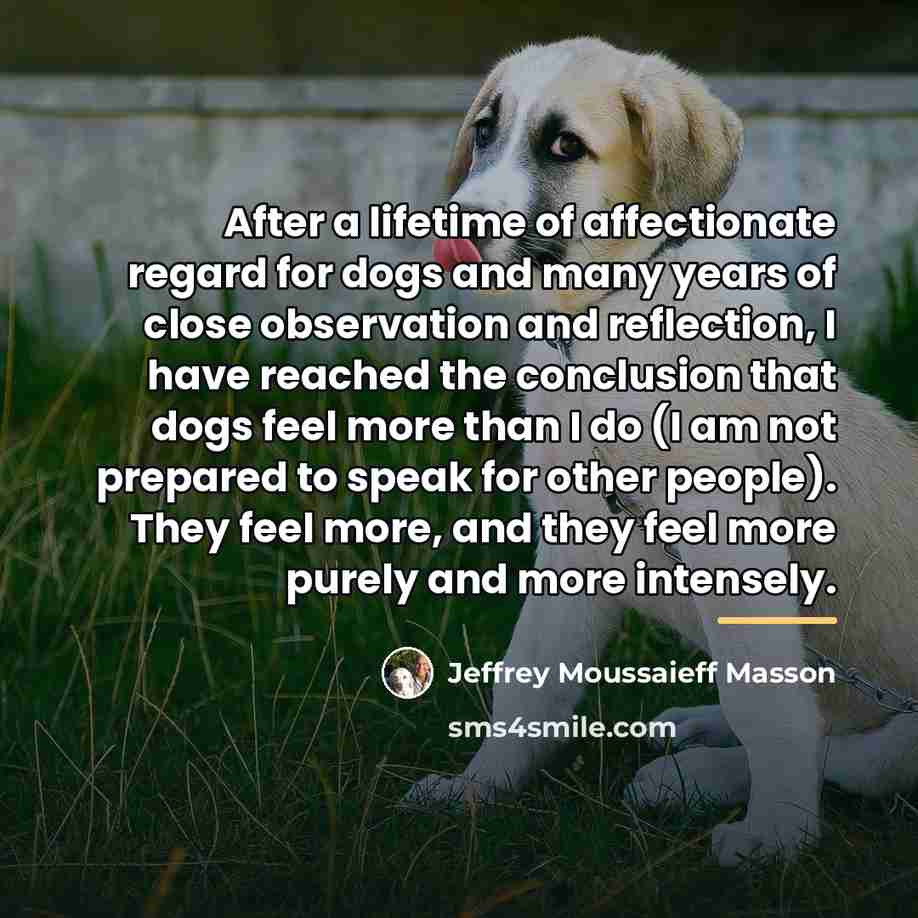 “After a lifetime of affectionate regard for dogs and many…” quote by Jeffrey Moussaieff Masson