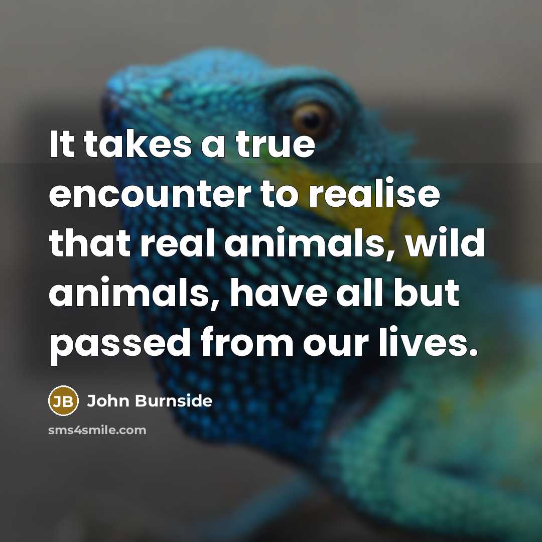 “It takes a true encounter to realise that real animals, wild animals, have all but passed from our lives.” quote by John Burnside