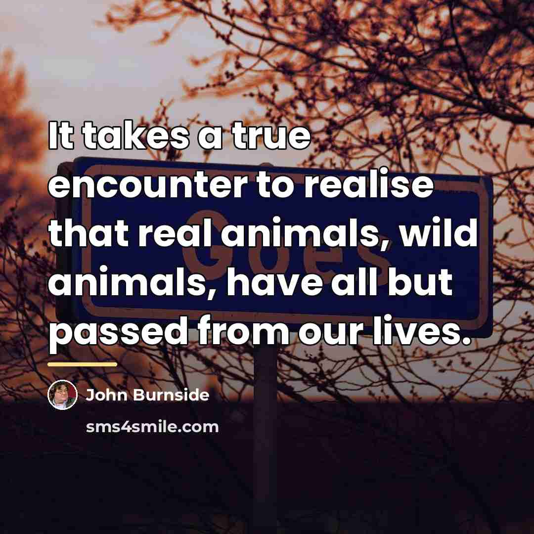 “It takes a true encounter to realise that real animals,…” quote by John Burnside