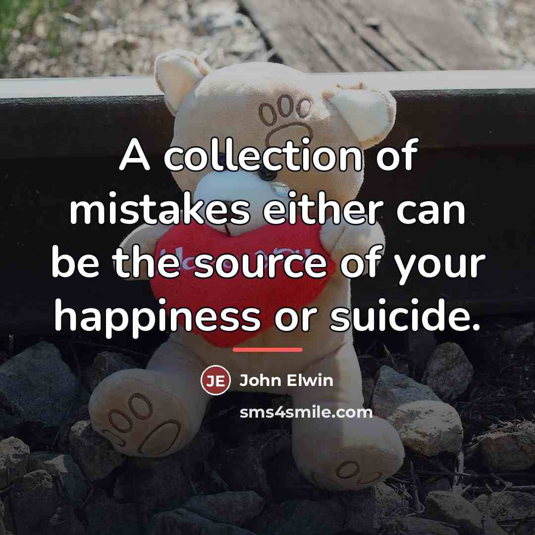 “A collection of mistakes either can be the source of…” quote by John Elwin