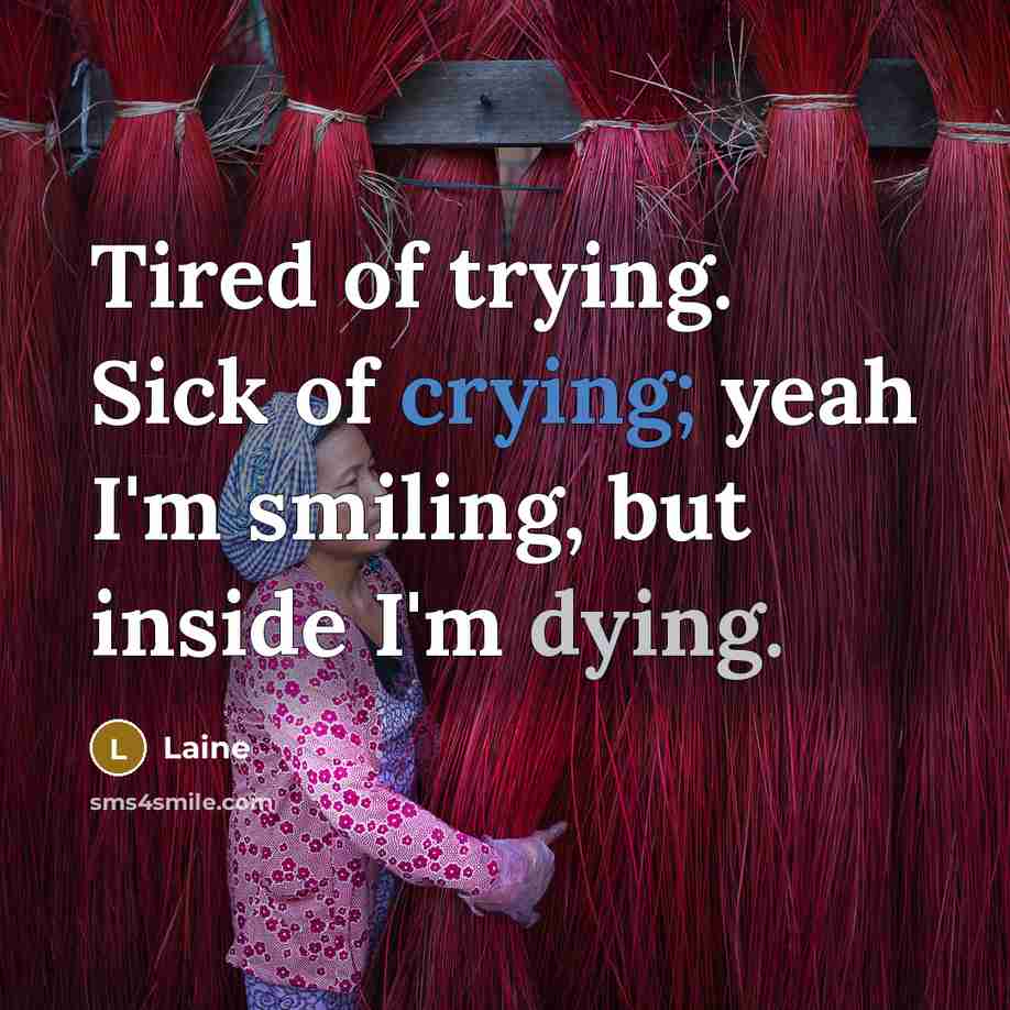 “Tired of trying. Sick of crying; yeah I'm smiling, but inside I'm dying.” quote by Laine